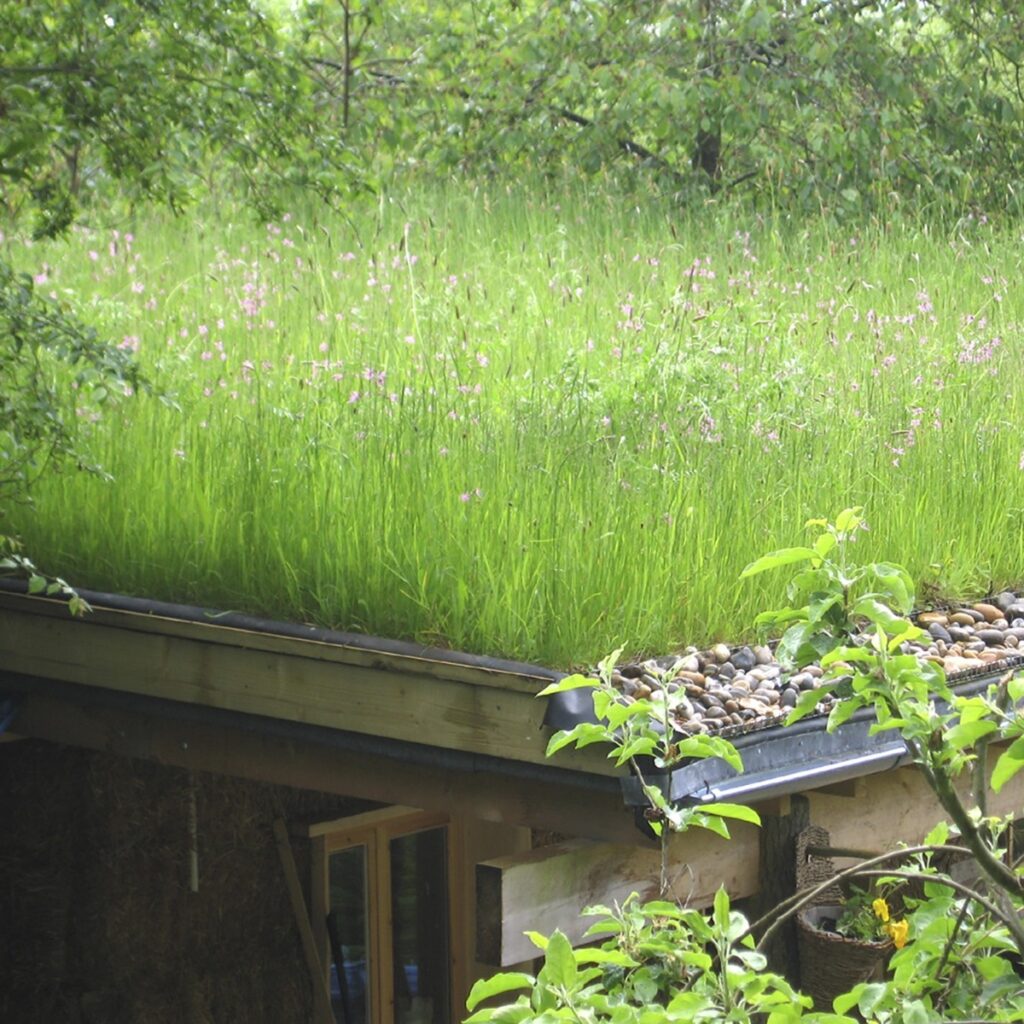 Rolawn Wildflower Turf Garden Roof Turf – 30m&sup2; 5060094342061 2